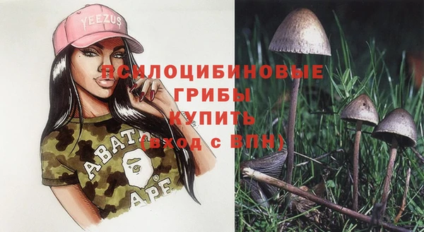 крисы Армянск