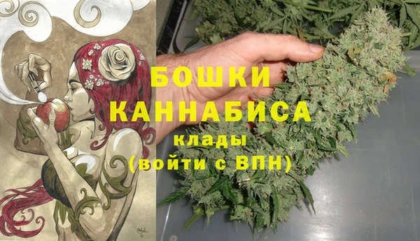 дурь Аркадак