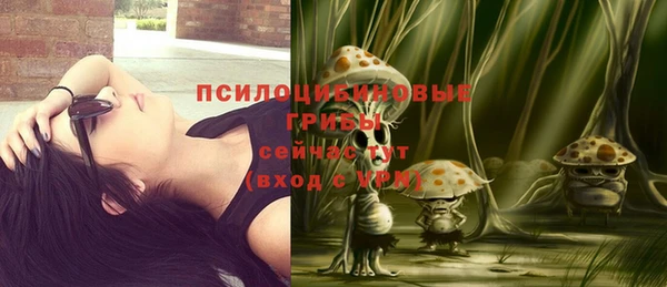 крисы Армянск
