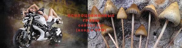 кокаин Арсеньев